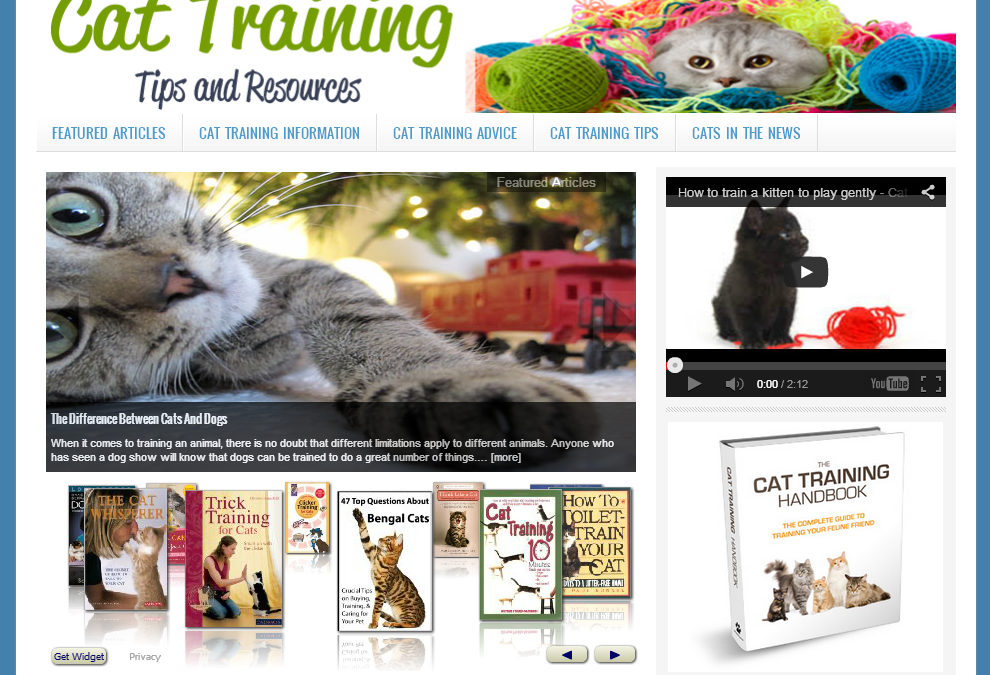 Cat Training Tips