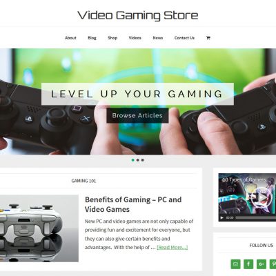 Video Gaming Store