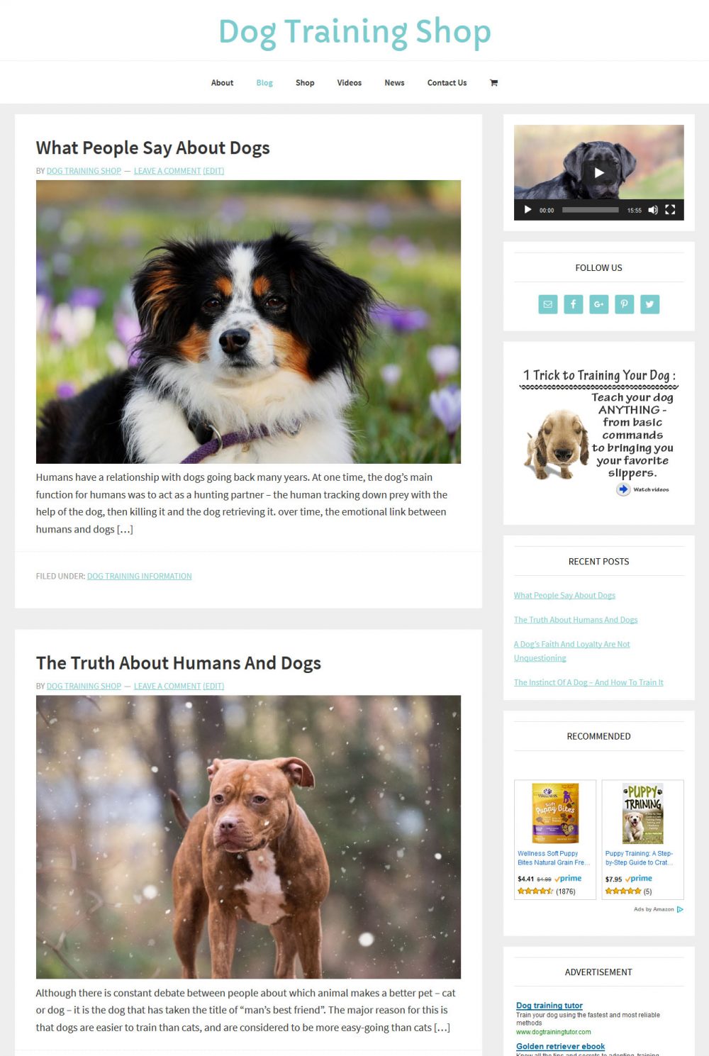 Dog Training Shop - Image 4