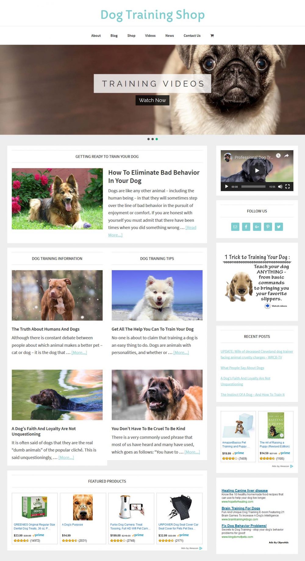 Dog Training Shop - Image 2