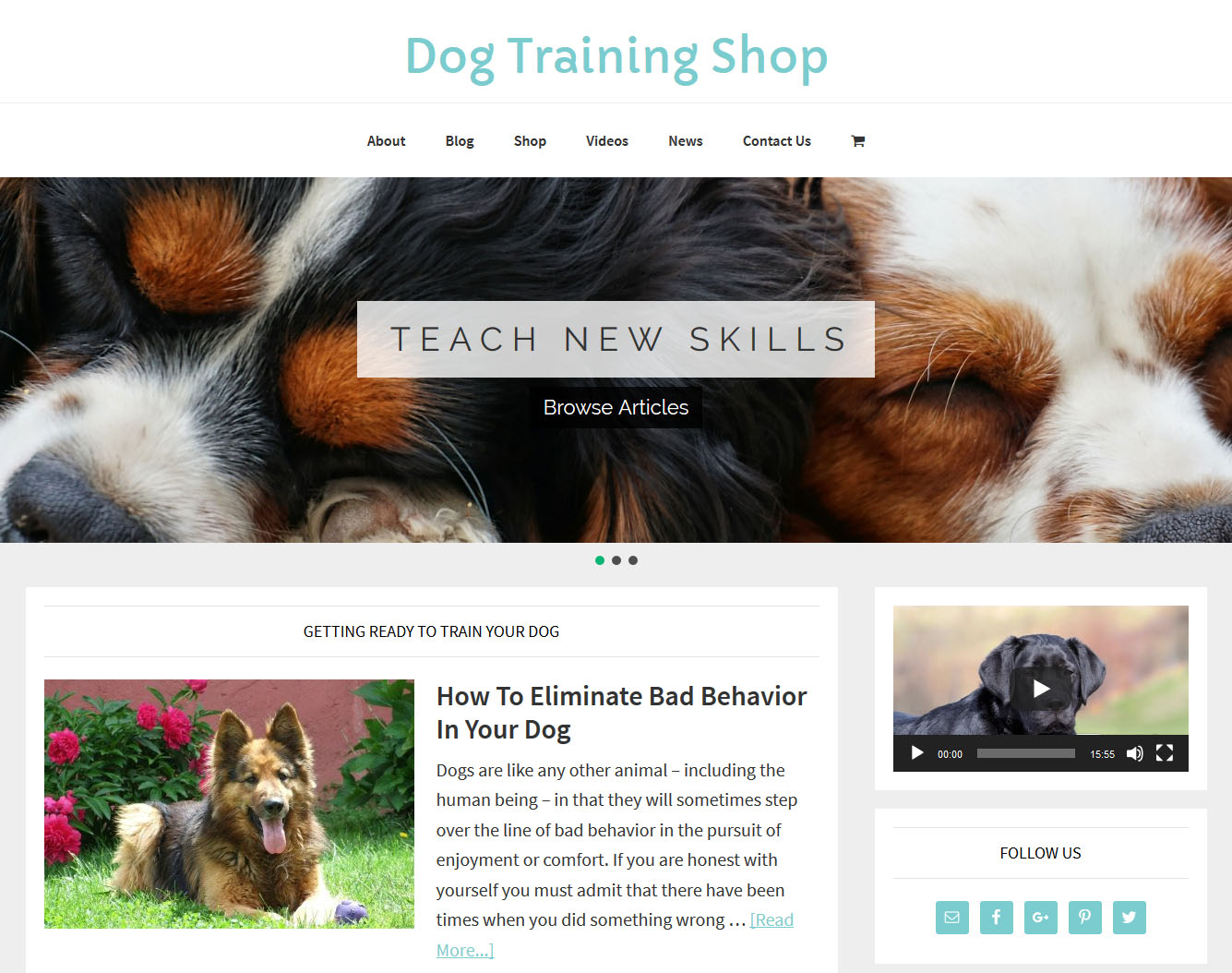 Dog Training Shop | Amaraq Websites