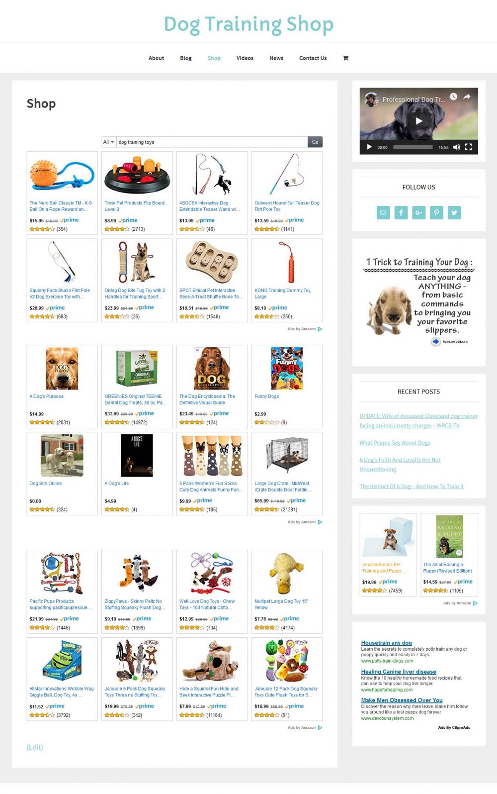 Dog Training Shop - Image 5