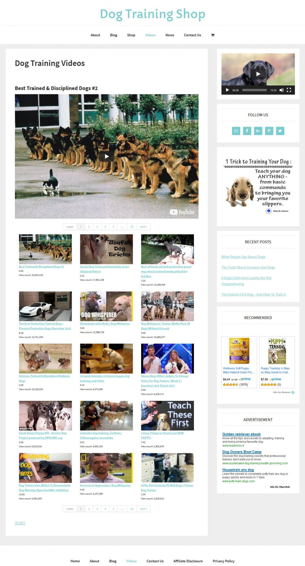 Dog Training Shop - Image 3
