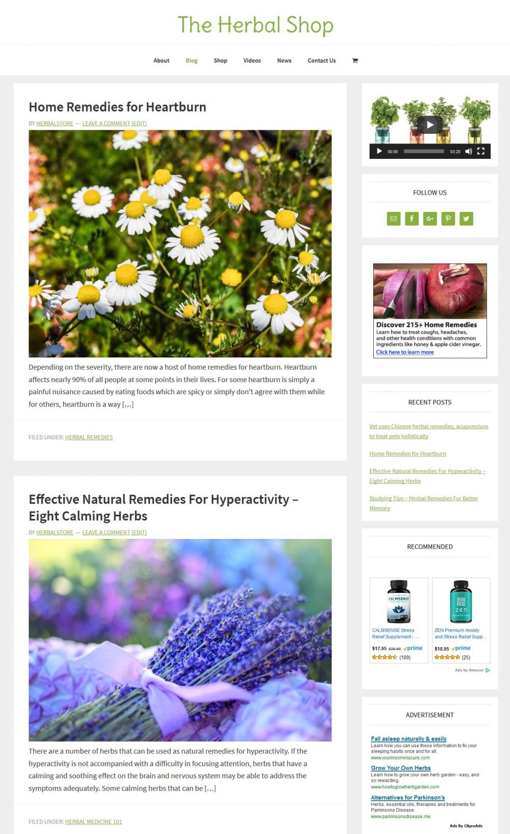 Herbal Medicine Shop - Image 4