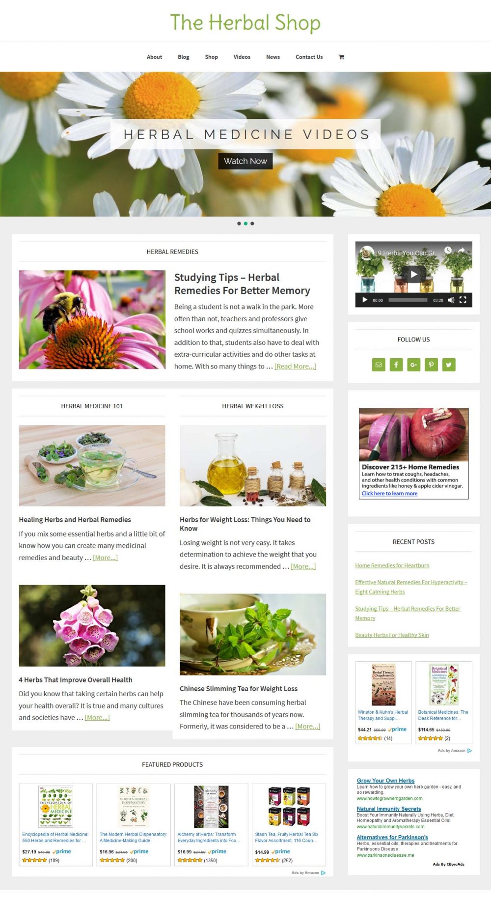 Herbal Medicine Shop - Image 2