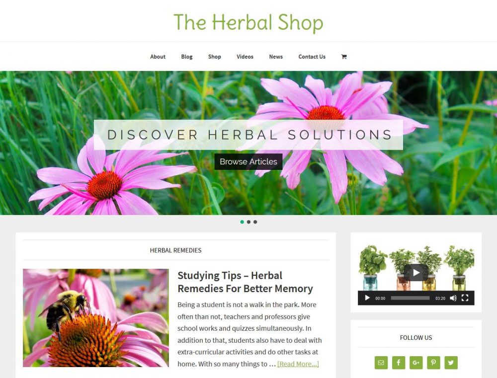 Herbal Medicine Shop