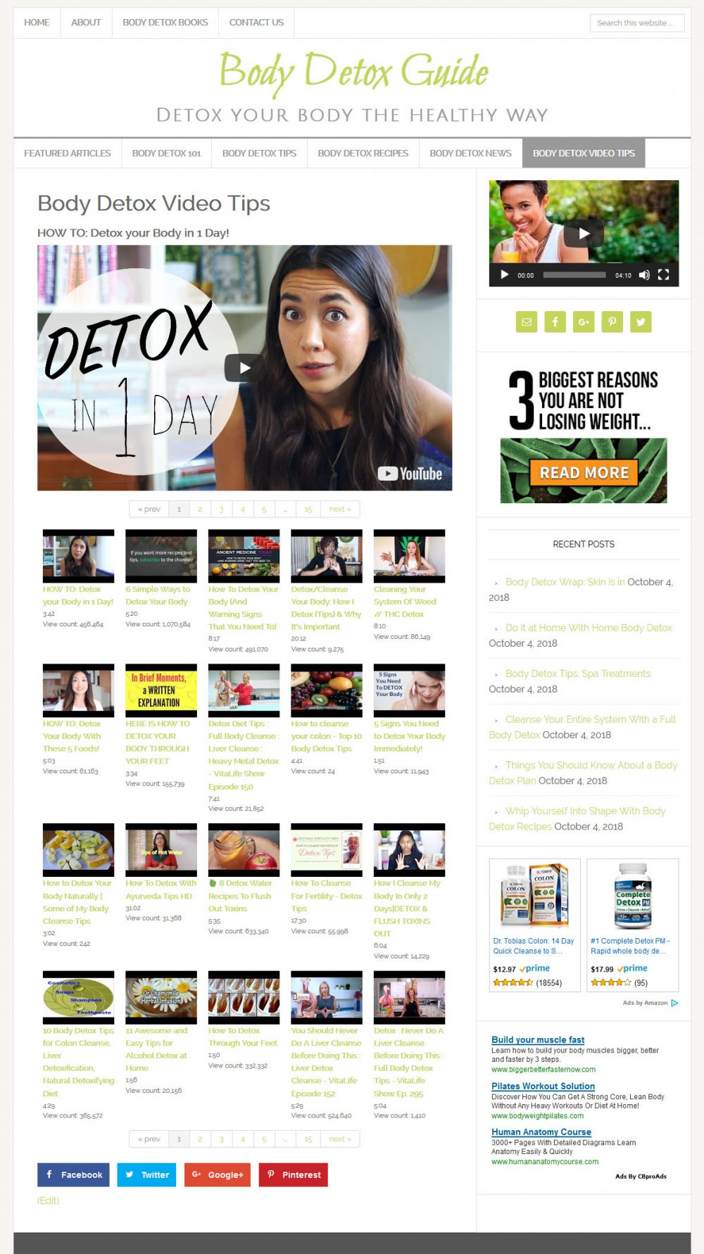 Body Detox Website - Image 3