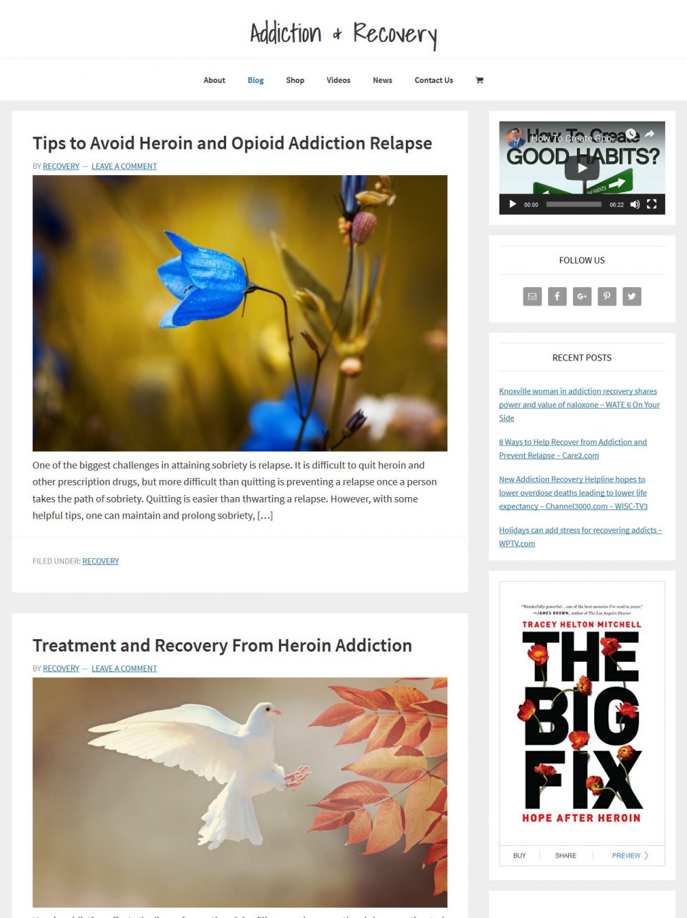 Addiction and Recovery Website - Image 3