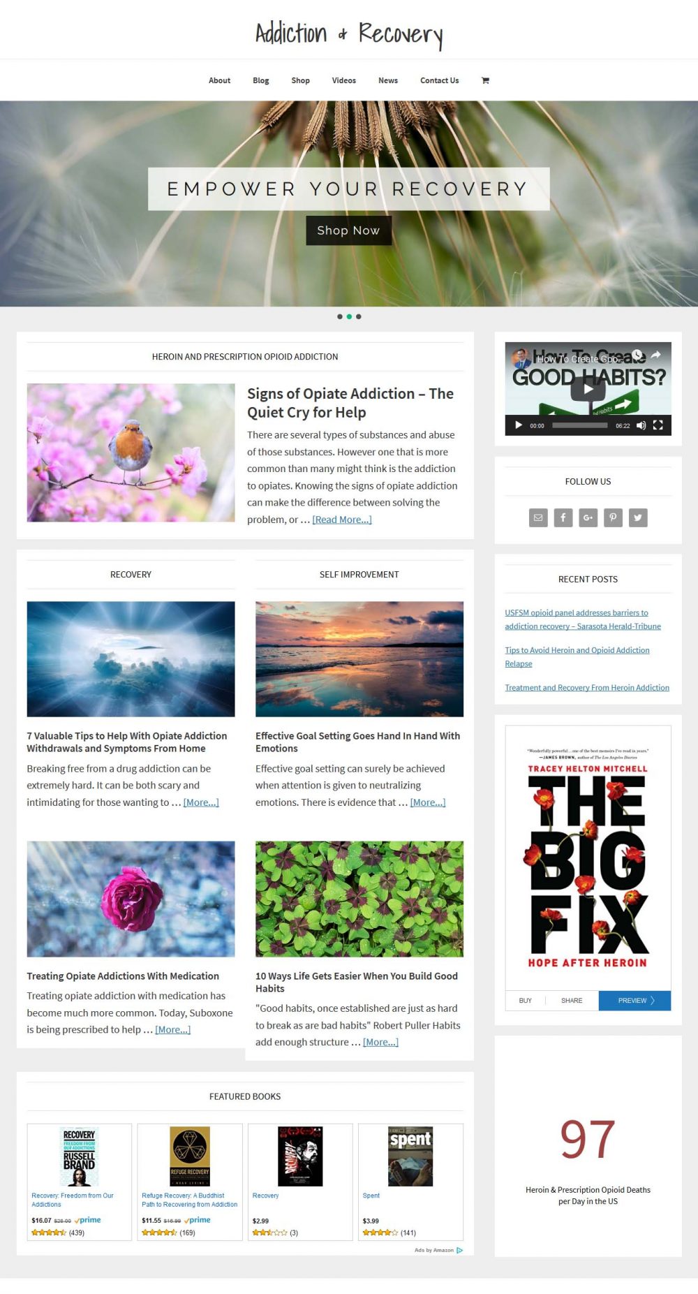 Addiction and Recovery Website - Image 2