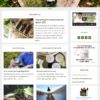 CBD & Hemp Oil Website - Image 2