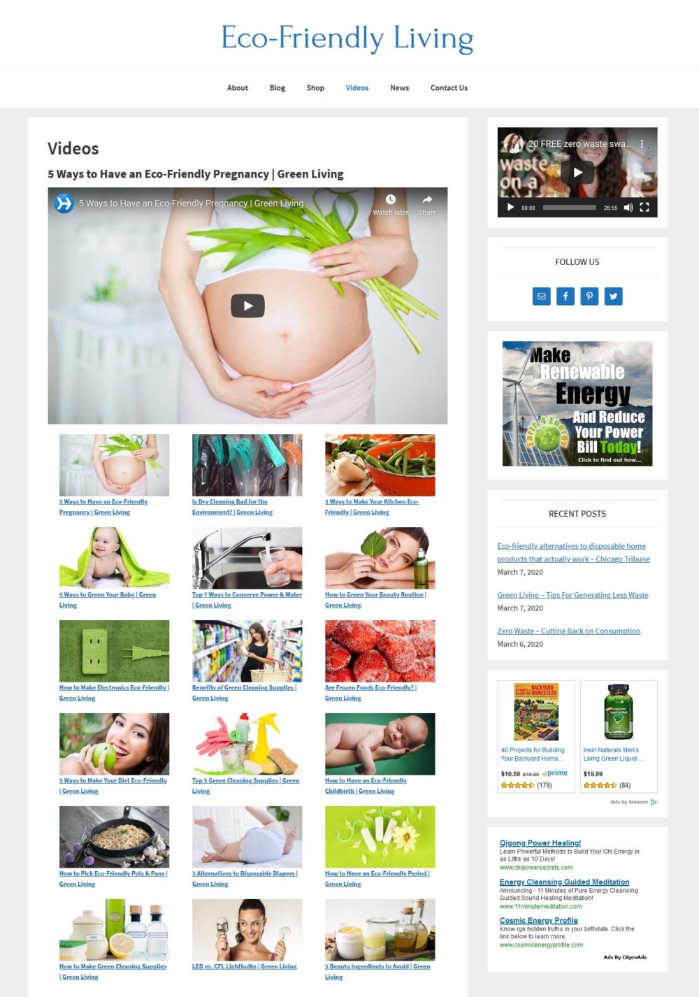 Eco-Friendly Living Website - Image 3