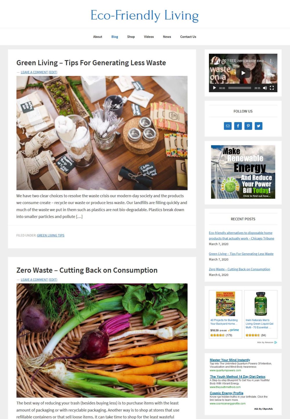 Eco-Friendly Living Website - Image 5